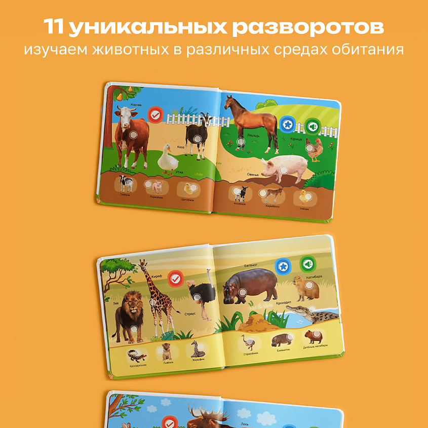 BERTTOYS Говорящая музыкальная книжка для малышей - Все о животных – фото 11