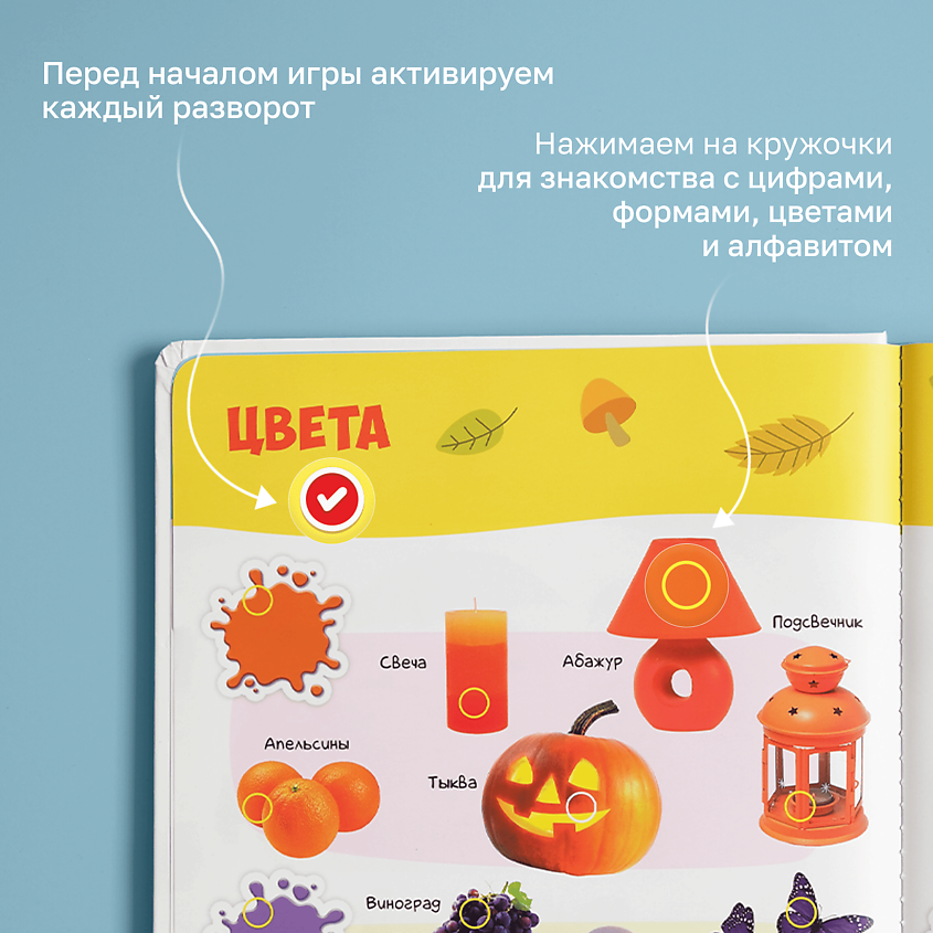 BERTTOYS Большая Говорящая Музыкальная Книга Нажималка Первые знания – фото 17