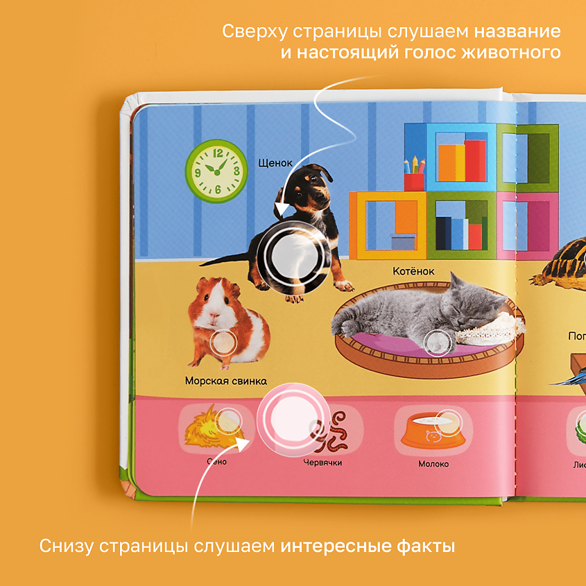 BERTTOYS Говорящая музыкальная книжка для малышей - Все о животных – фото 7