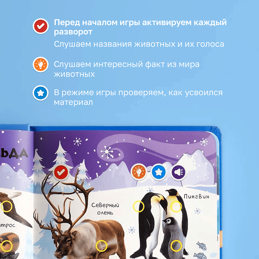 BERTTOYS Говорящая интерактивная книга для детей Животные – фото 2