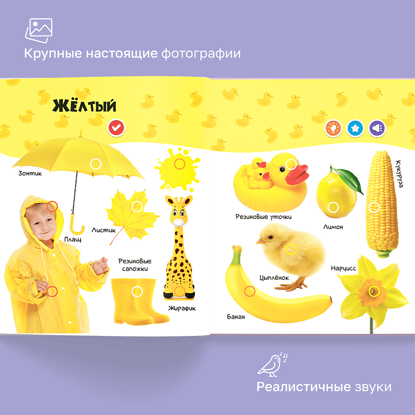 BERTTOYS Говорящая музыкальная книга для детей Нажималка Цвета – фото 2