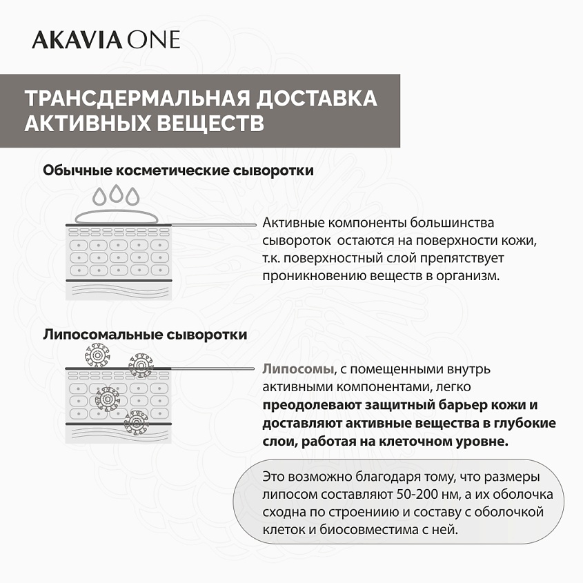 АКАВИЯ ONE Сыворотка для лица, Ночная, От морщин, Регенерирующая – фото 4