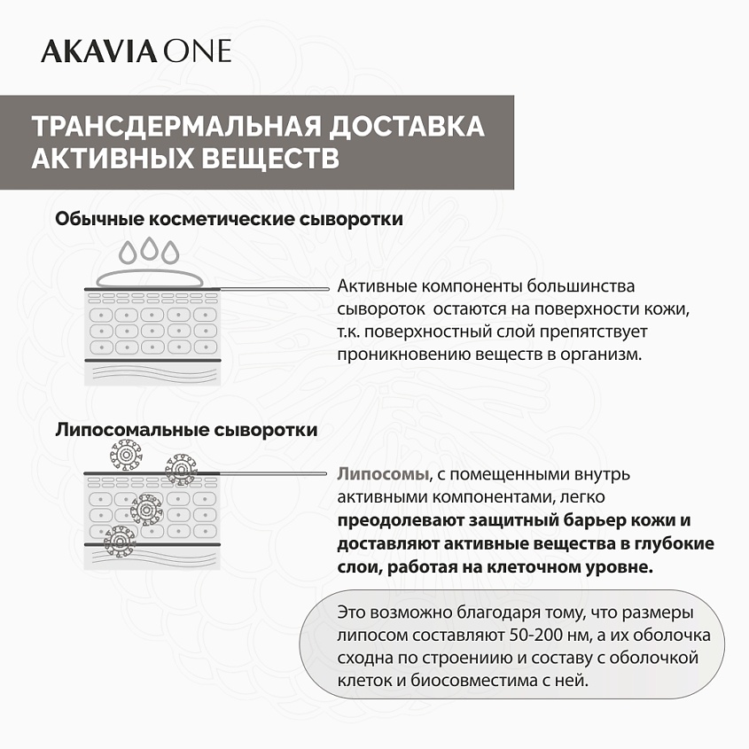 АКАВИЯ ONE Сыворотка для лица, Ночная, Естественное сияние – фото 6
