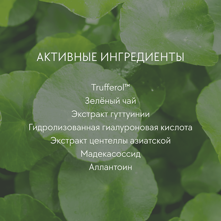 D`ALBA Солнцезащитный крем для лица Waterfull Mild Sun Cream SPF 50+ PA++++ – фото 3