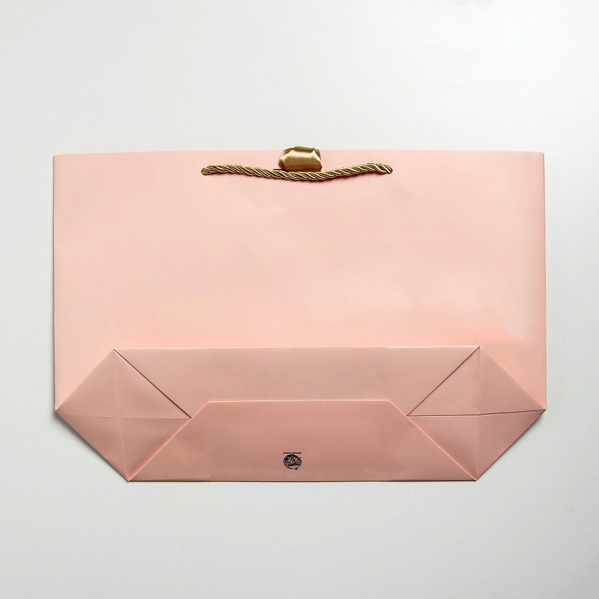 ДАРИТЕ СЧАСТЬЕ Пакет подарочный женский "Present for you" – фото 5