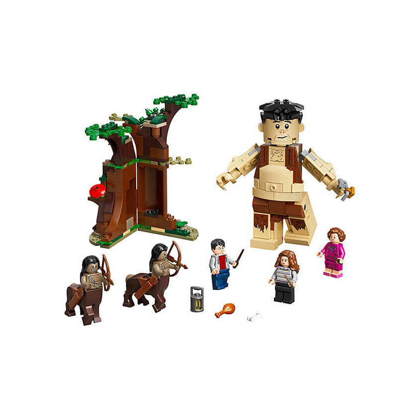 LEGO Конструктор Harry Potter Collection: Встреча с Амбридж в Запретном Лесу – фото 1