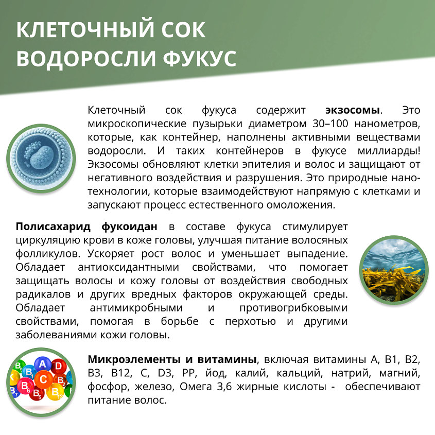 ALGENIC THERAPY&BEAUTY Шампунь от выпадения, для роста волос с водорослями Dr. Fucus – фото 6