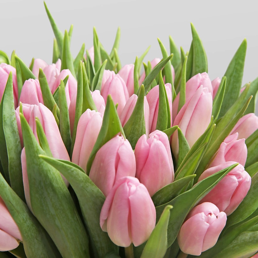 STUDIO FLORISTIC Композиция из Тюльпанов «Розовая весна» – фото 5
