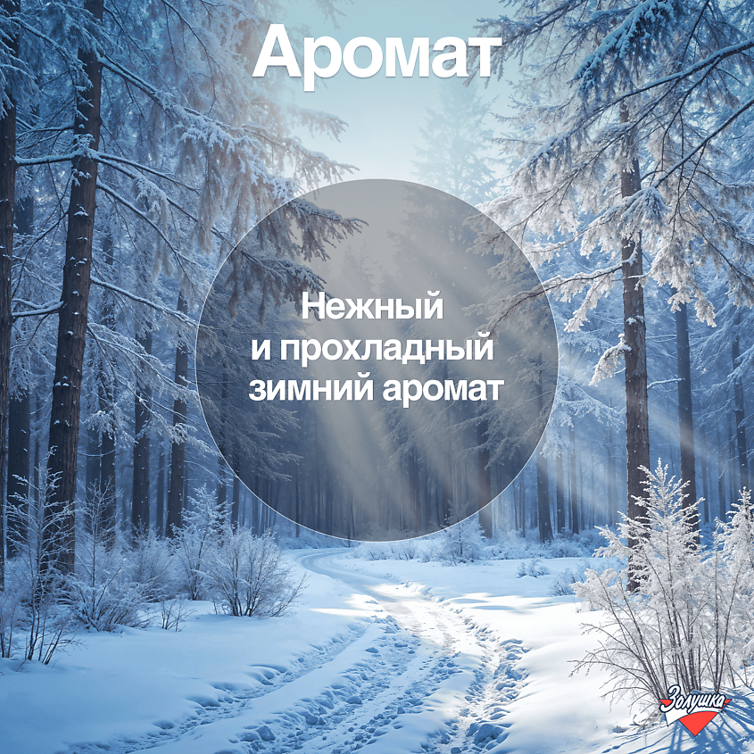 ЗОЛУШКА Кондиционер для белья Русская зима – фото 7