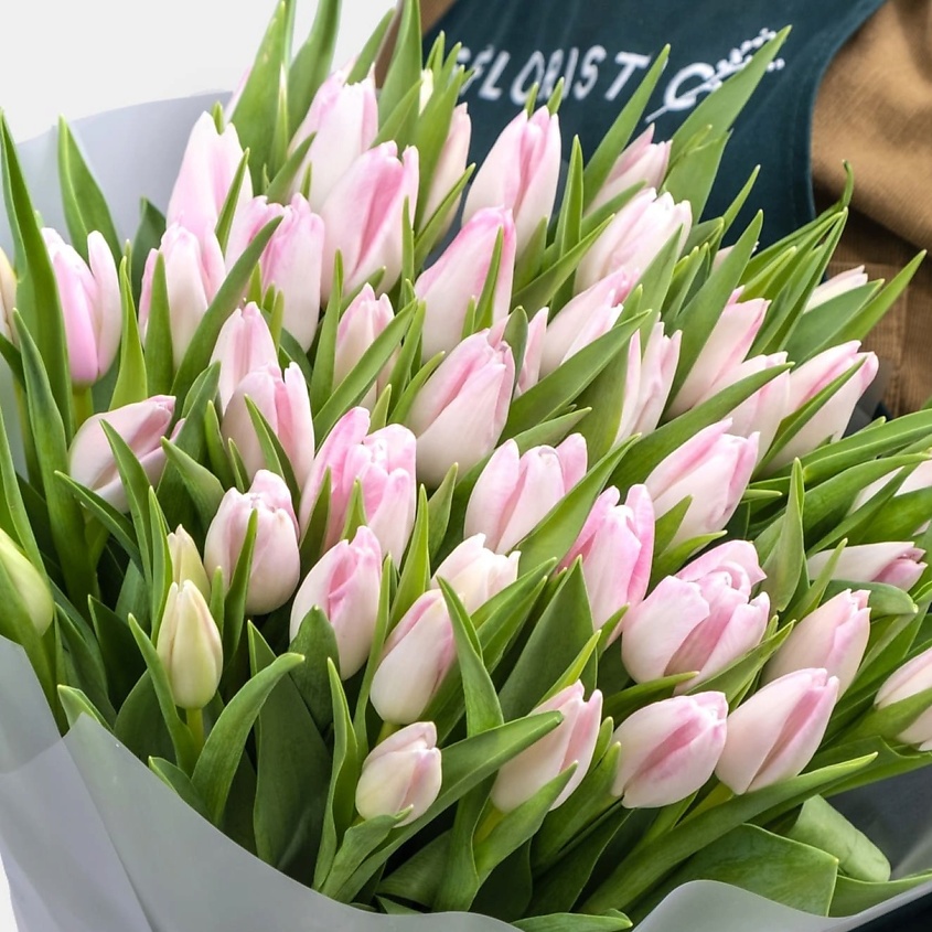 STUDIO FLORISTIC Букет из нежно-розовых тюльпанов 51 шт "Подснежники" – фото 1