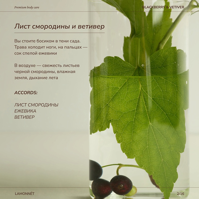 LAMONNET Скраб для тела парфюмированный, с маслами. Лист смородины и ветивер – фото 3