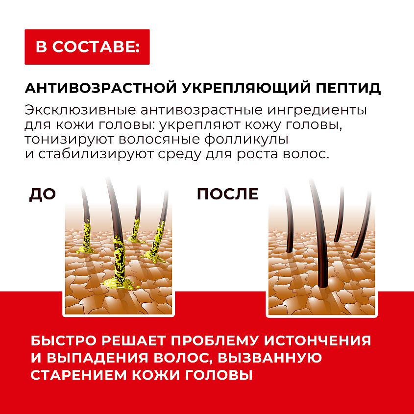 KANS Шампунь для жирной кожи головы и волос с anti-age пептидами Scalp Oil-Controlling Shampoo – фото 3