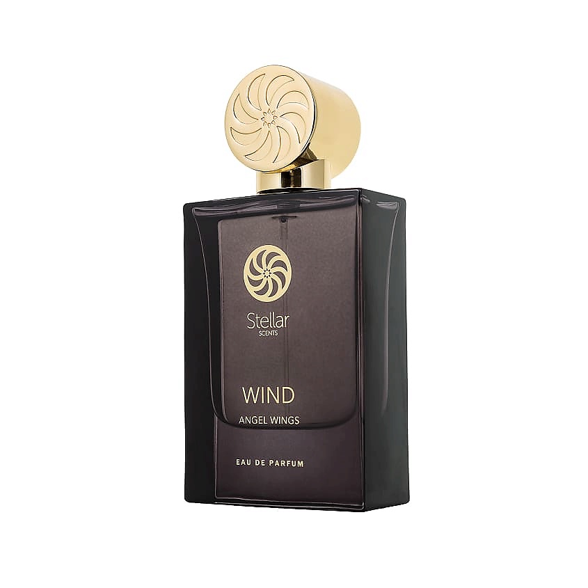 STELLAR SCENTS Wind Angel Wings – фото 1