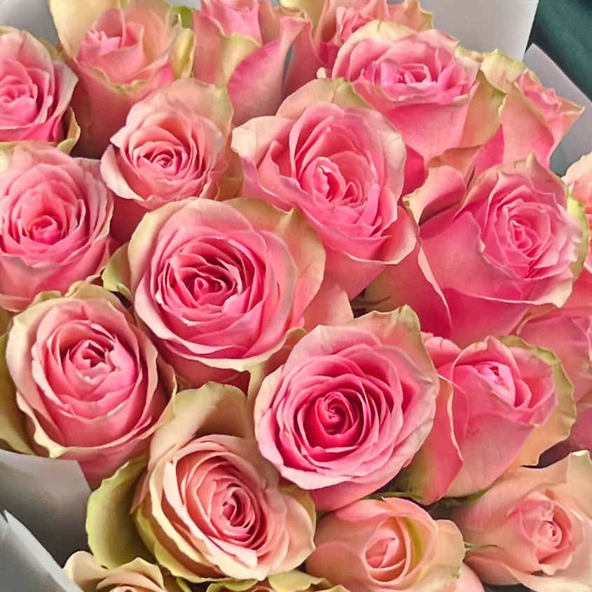 STUDIO FLORISTIC Букет из розовых Роз Кения 60 см 25 шт «Танец Фей» – фото 5