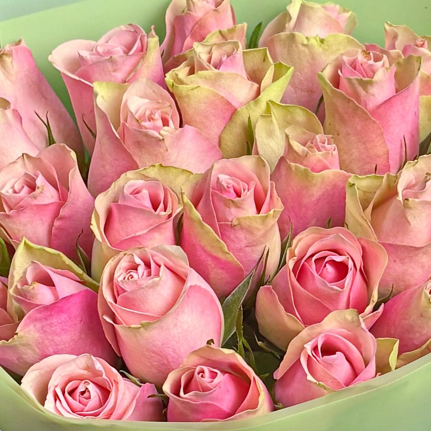 STUDIO FLORISTIC Букет из розовых Роз Кения 40 см 25 шт «Мелодия Сердца» – фото 5