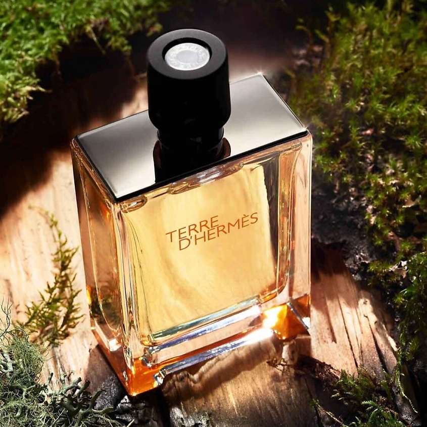 HERMES Туалетная вода Terre D'Hermes, 50 мл купить по цене 9093