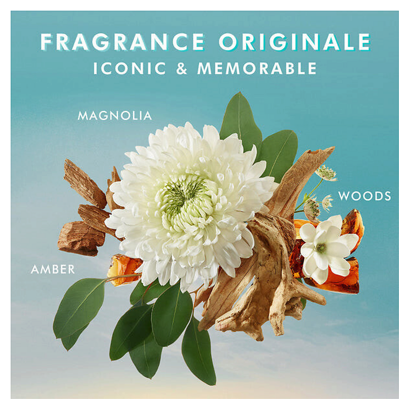MOROCCANOIL Увлажняющий лосьон для тела Fragrance pour le corps – фото 2