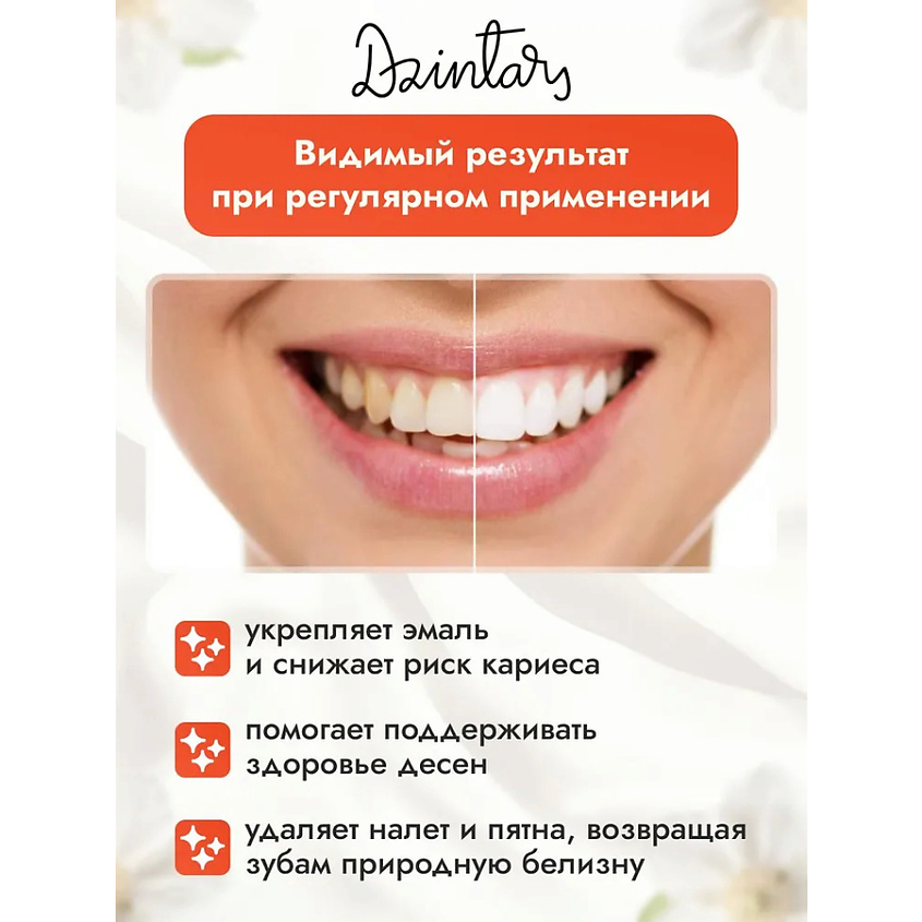 DZINTARS Зубная паста для здоровых десен Kemeri – фото 3
