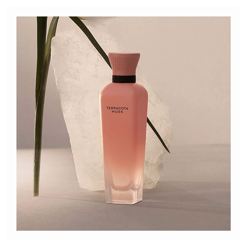 ADOLFO DOMINGUEZ Парфюмерная вода Terracota Musk – фото 3
