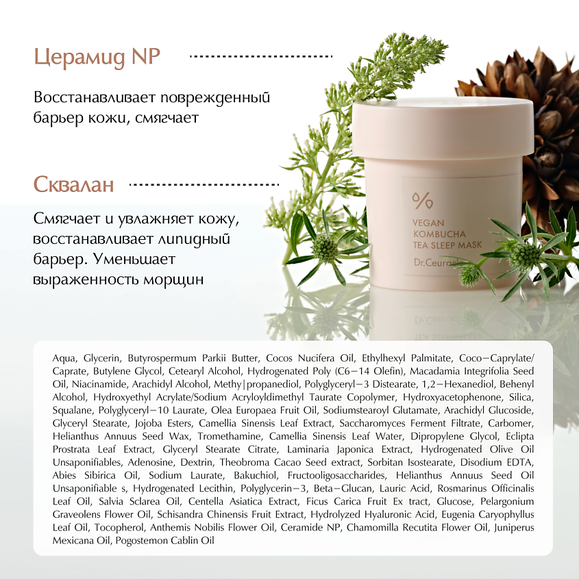 DR. CEURACLE Веганская ночная маска с комбучей Vegan Kombucha Tea Sleep Mask – фото 4