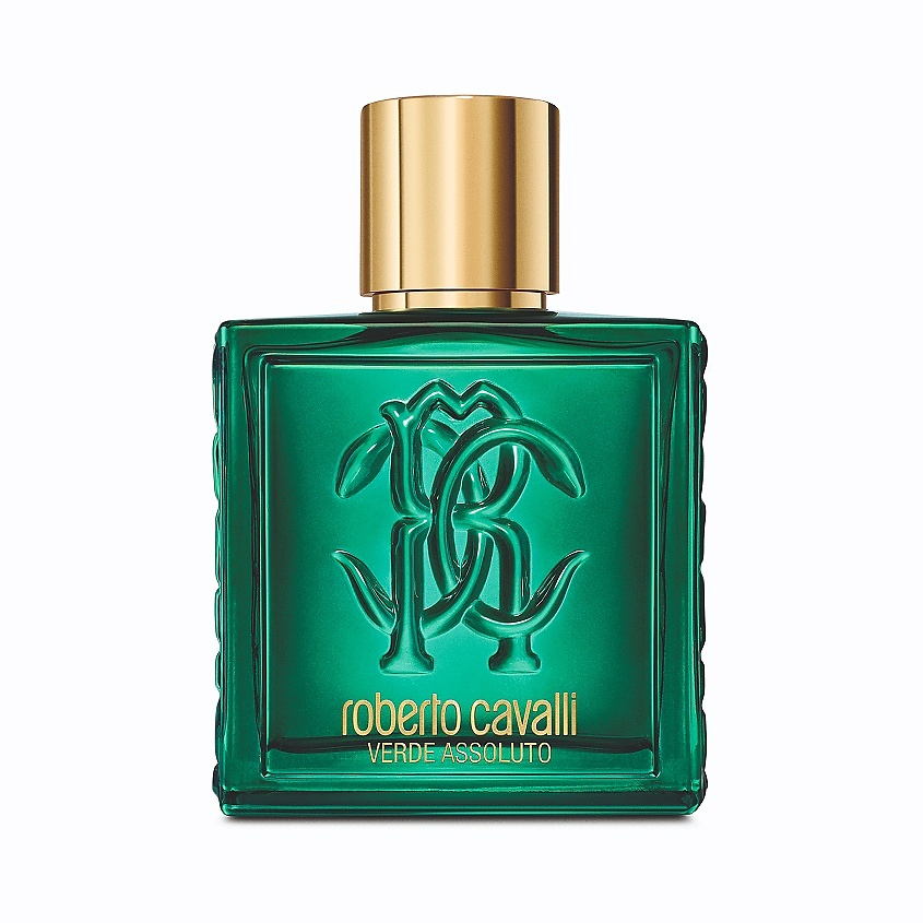 ROBERTO CAVALLI Uomo Verde Assoluto – фото 1