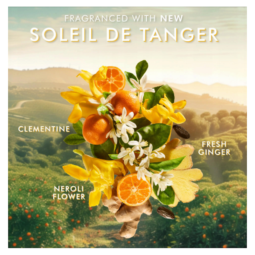 MOROCCANOIL Набор для ухода за руками Soleil De Tanger Жидкое мыло+Крем для рук – фото 3