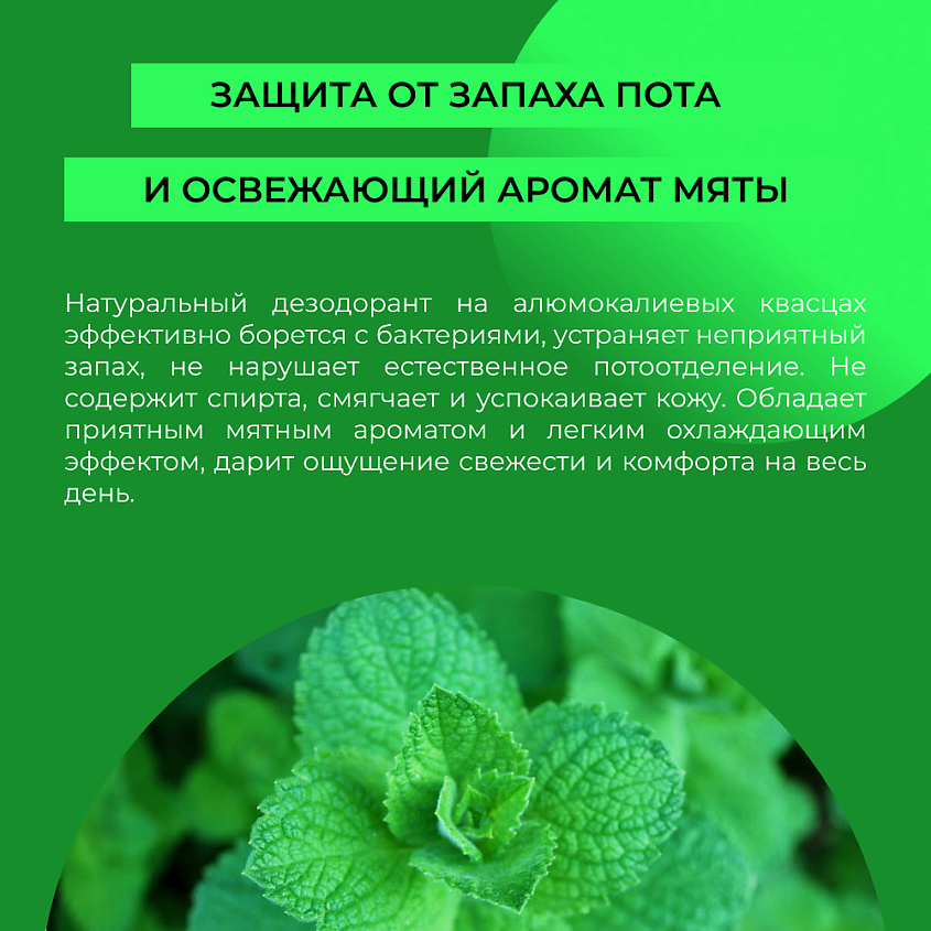 SIBERINA Дезодорант "Мятный" – фото 7