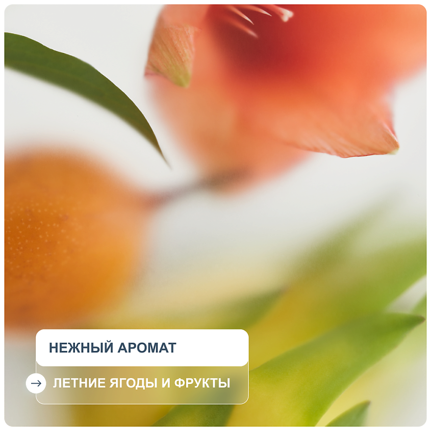 RICHE Шампунь для окрашенных волос бессульфатный – фото 4
