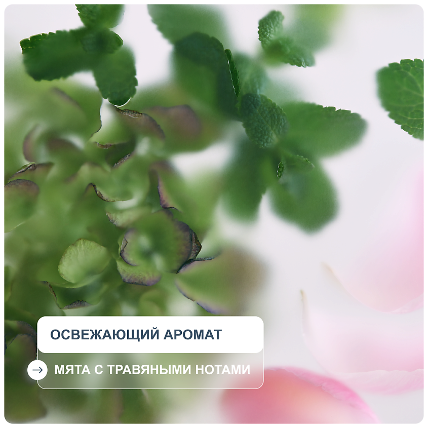 RICHE Спрей - тоник для роста волос активирующий с протеинами – фото 4