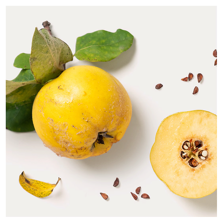 DR. HAUSCHKA  Дневной крем для лица Quince Day Cream – фото 3
