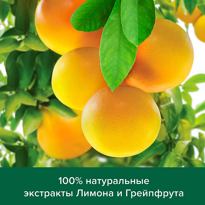 PALMOLIVE Мыло твердое НАТУРЭЛЬ Увлажнение и Свежесть с цитрусовыми экстрактами и кремом – фото 6