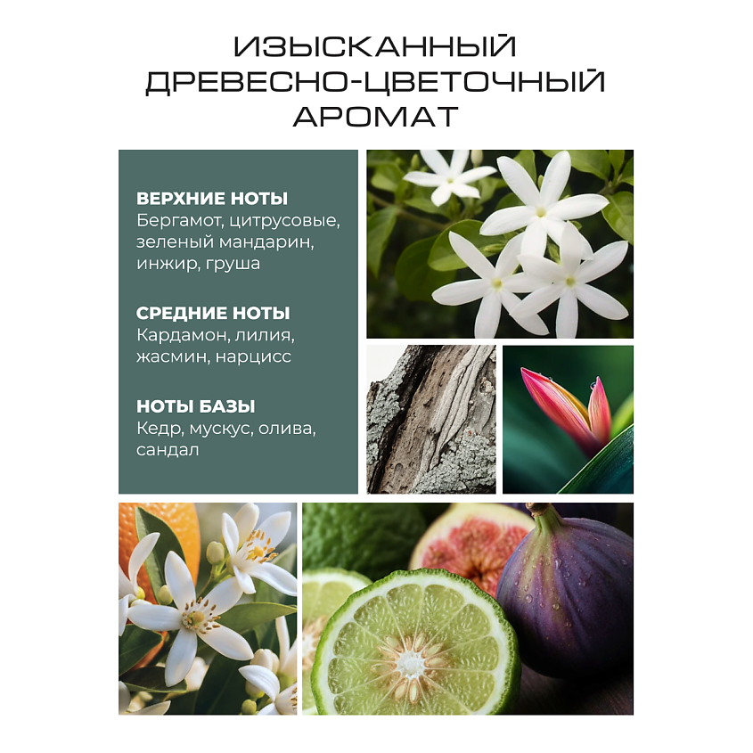 LAMINARIA EXPERT BY RUSTEM MUSTAFIN Увлажняющий крем-уход для волос – фото 4