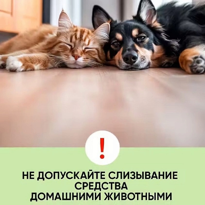OLIVETTI Olivetti Гель для уборки за домашними животными Киви и весенние цветы – фото 6