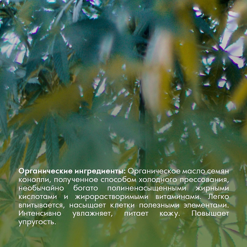 ECOLATIER Крем для бёдер и ягодиц Антицеллютный Конопля – фото 4