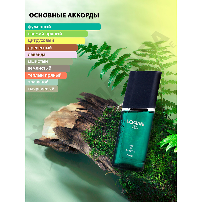 LOMANI Мужская туалетная вода Pour Homme – фото 4